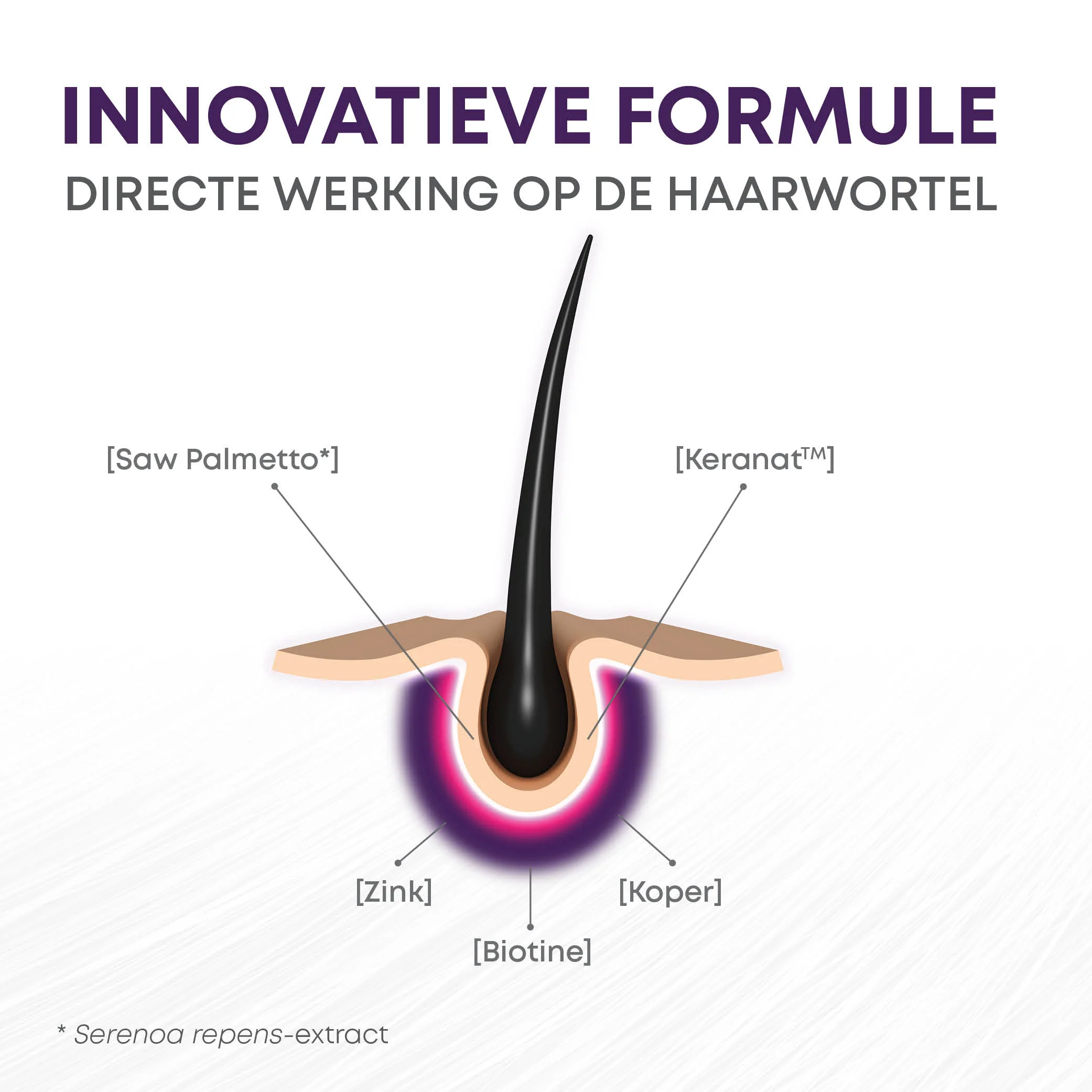 BariNutrics Hair 90 Capsules - Image 3