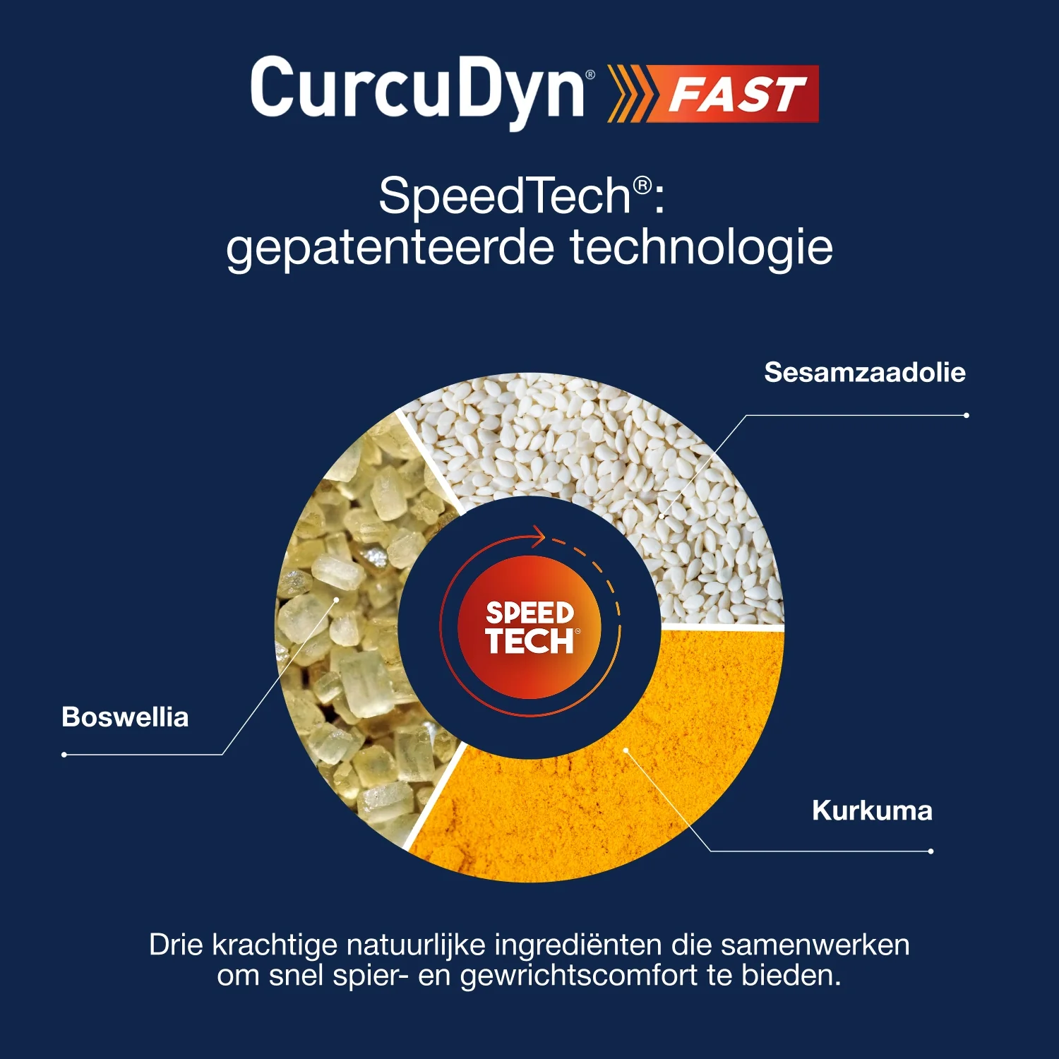 CurcuDyn Fast 15 Capsules - Image 4