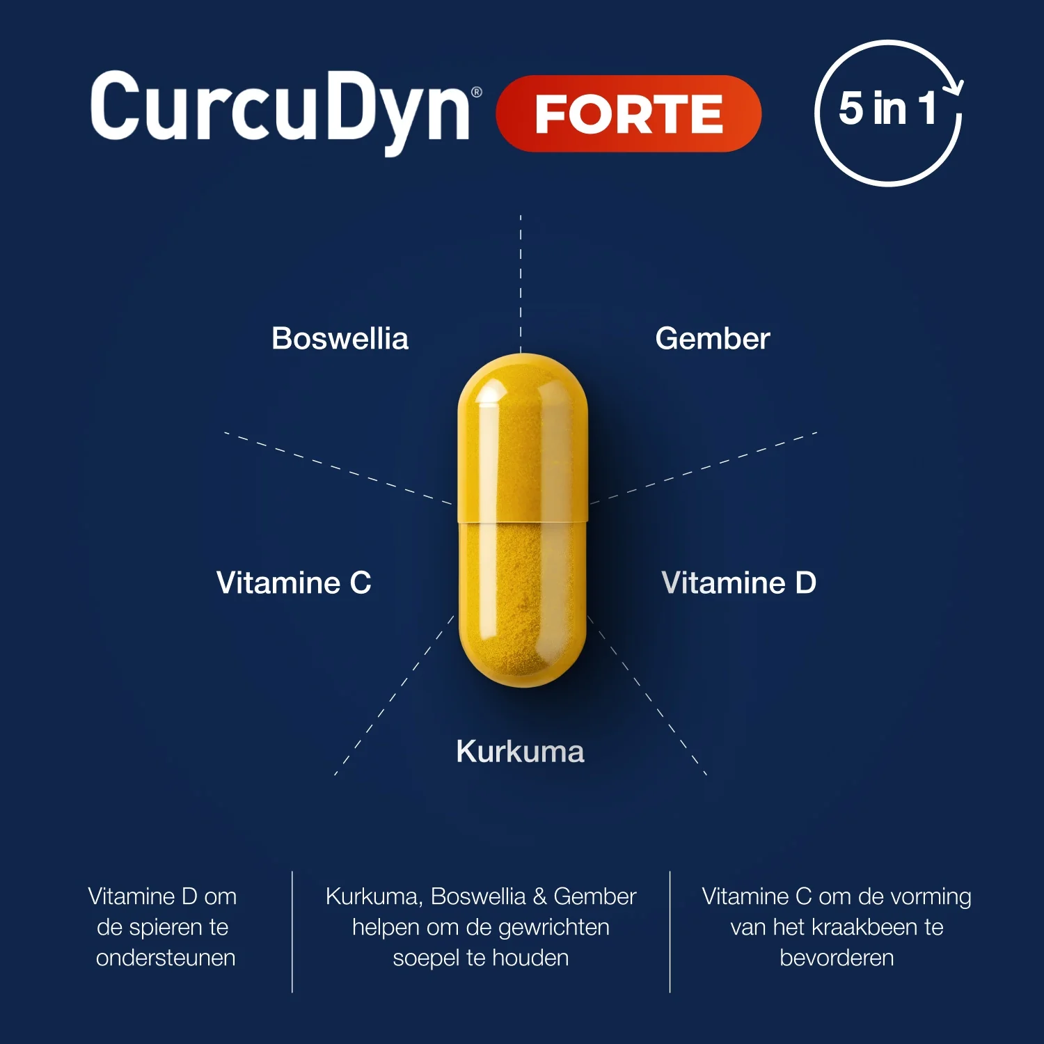 CurcuDyn Forte Capsules - Image 7